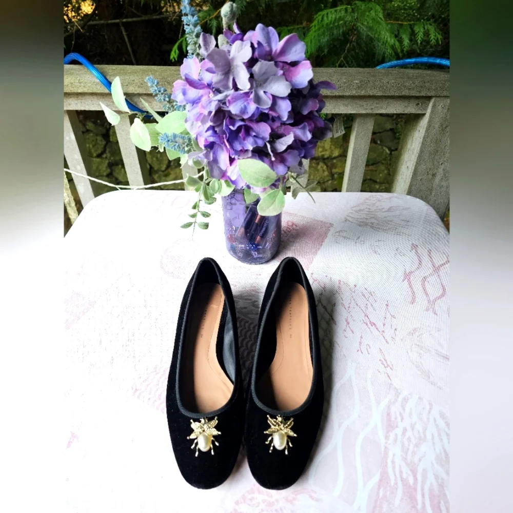 Zara Beetle Embelished Velvet Faux Pearl Ballet Flats in Black